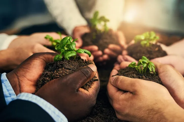 Community members and the importance of collective development
